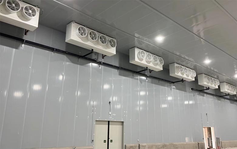 cold storage p4